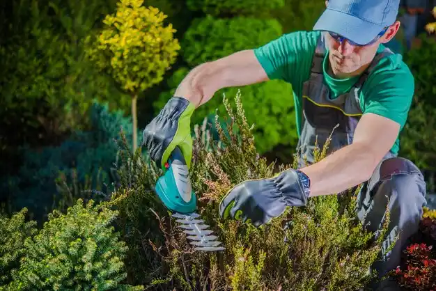 landscaping services Broussard
